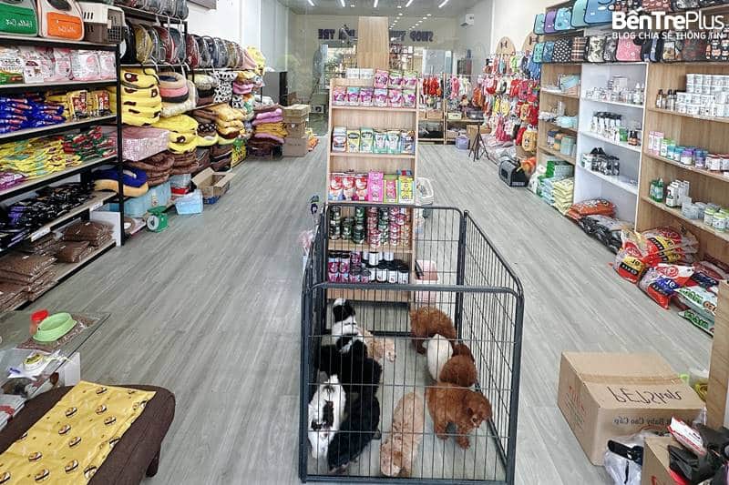 Shop Thú Cưng Bến Tre NN Pet Paradise
